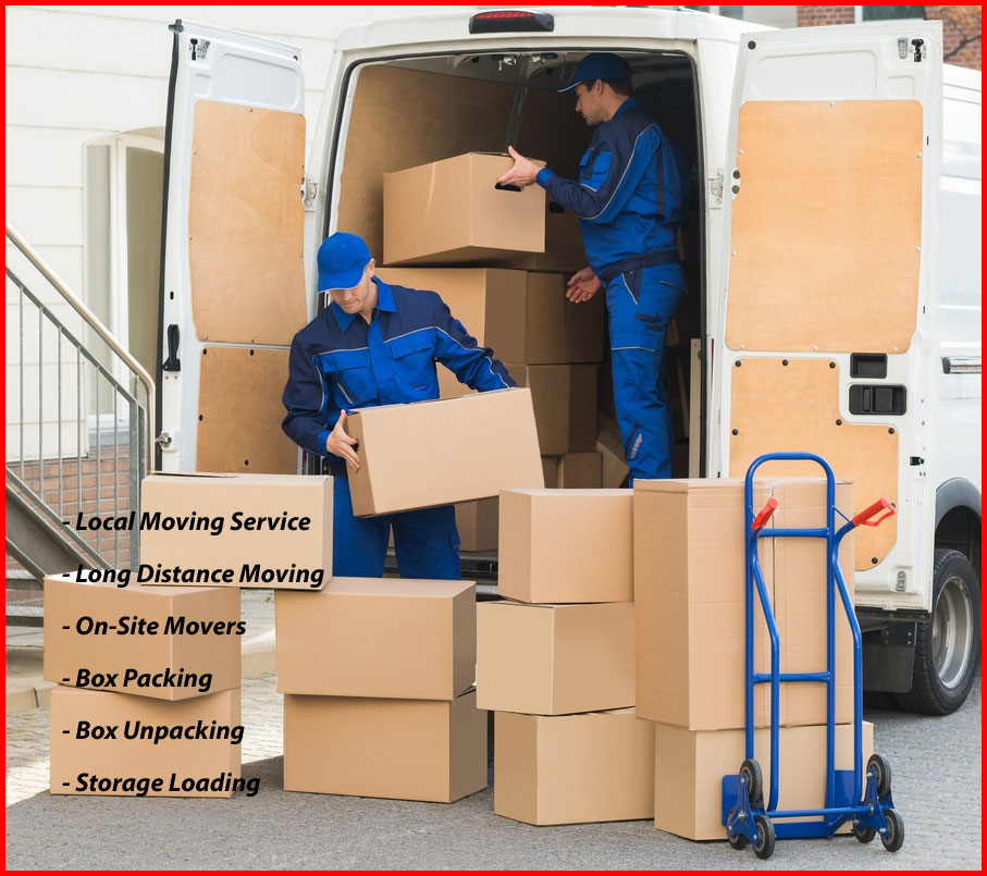 Packers And Movers Noida Sector 84